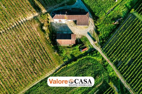 Villa a Maranzana, Asti, Maranzana - € 390.000 | Ref: 86114150 - foto 21