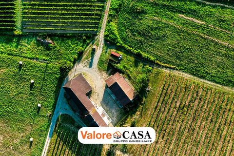 Villa a Maranzana, Asti, Maranzana - € 390.000 | Ref: 86114150 - foto 22
