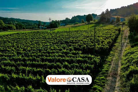 Villa a Maranzana, Asti, Maranzana - € 390.000 | Ref: 86114150 - foto 24