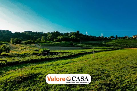 Villa a Maranzana, Asti, Maranzana - € 390.000 | Ref: 86114150 - foto 26