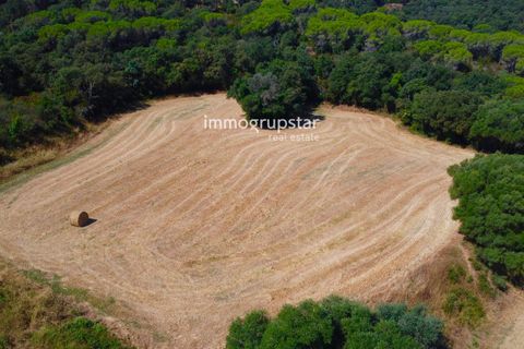 Villa i Calonge, Gerona, Calonge - € 890.000 | Ref: 1209 - foto 10