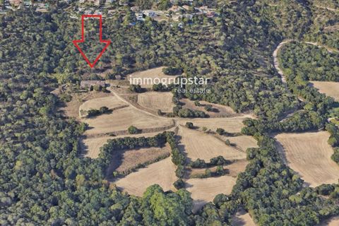 Villa i Calonge, Gerona, Calonge - € 890.000 | Ref: 1209 - foto 13