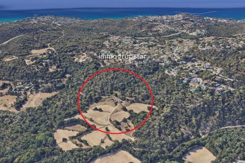 Villa i Calonge, Gerona, Calonge - € 890.000 | Ref: 1209 - foto 15