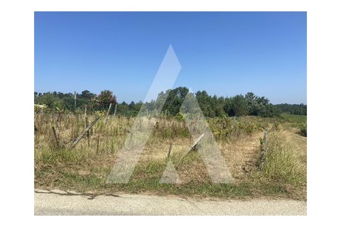 Helårsgrund i Anadia, Aveiro, Anadia - € 33.000 | Ref: 1051330/25 OB - foto 2
