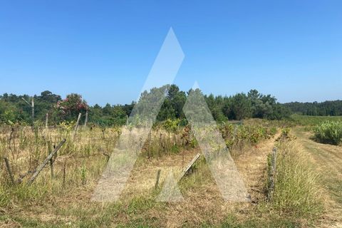 Helårsgrund i Anadia, Aveiro, Anadia - € 33.000 | Ref: 1051330/25 OB - foto 3