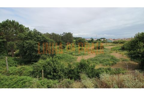Helårsgrund i Vila do Conde, Porto, Vila do Conde - € 275.000 | Ref: 5554 - foto 10