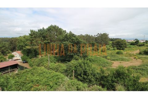 Helårsgrund i Vila do Conde, Porto, Vila do Conde - € 275.000 | Ref: 5554 - foto 11