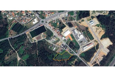 Helårsgrund i Valenca, Viana do Castelo, Valenca - € 170.000 | Ref: VLC163T - foto 2