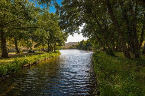 Helårsgrund i Gaviao, Portalegre, Gaviao - € 29.500 | Ref: 7671 - foto 15