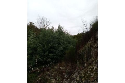 Helårsgrund i Gaviao, Portalegre, Gaviao - € 29.500 | Ref: 7671 - foto 3