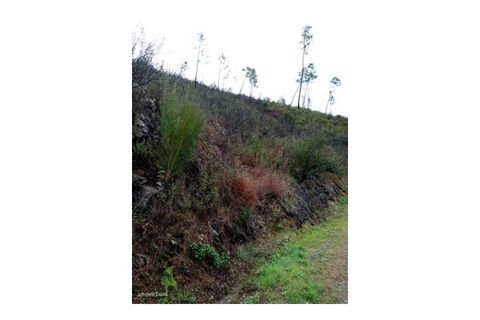 Helårsgrund i Gaviao, Portalegre, Gaviao - € 29.500 | Ref: 7671 - foto 4