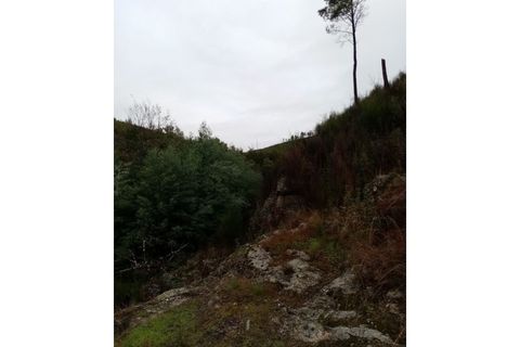 Helårsgrund i Gaviao, Portalegre, Gaviao - € 29.500 | Ref: 7671 - foto 5