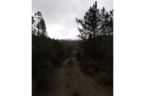 Helårsgrund i Gaviao, Portalegre, Gaviao - € 29.500 | Ref: 7671 - foto 11
