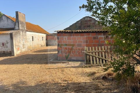 Helårsgrund i Palmela, Setubal, Palmela - € 250.000 | Ref: GC71202506GR - foto 5