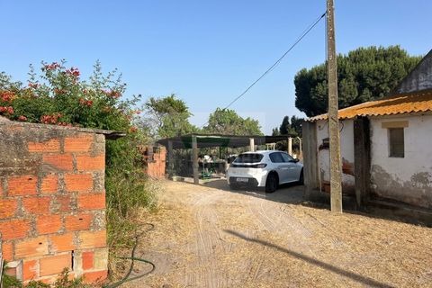 Helårsgrund i Palmela, Setubal, Palmela - € 250.000 | Ref: GC71202506GR - foto 7