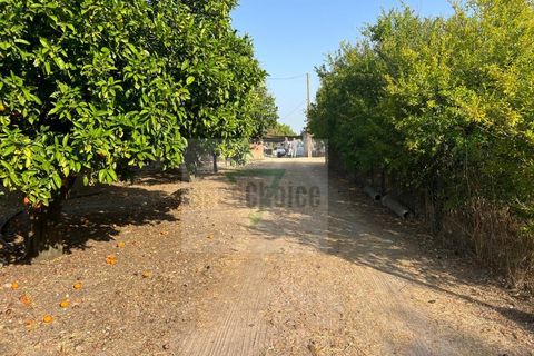 Helårsgrund i Palmela, Setubal, Palmela - € 250.000 | Ref: GC71202506GR - foto 8