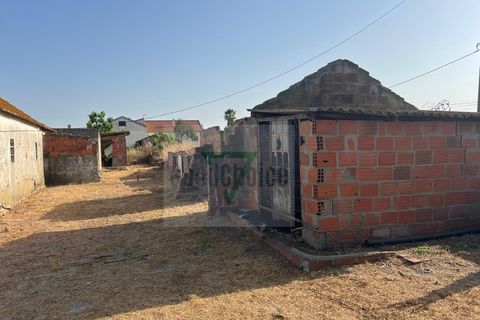Helårsgrund i Palmela, Setubal, Palmela - € 250.000 | Ref: GC71202506GR - foto 9