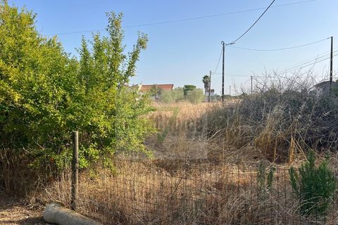 Helårsgrund i Palmela, Setubal, Palmela - € 250.000 | Ref: GC71202506GR - foto 10