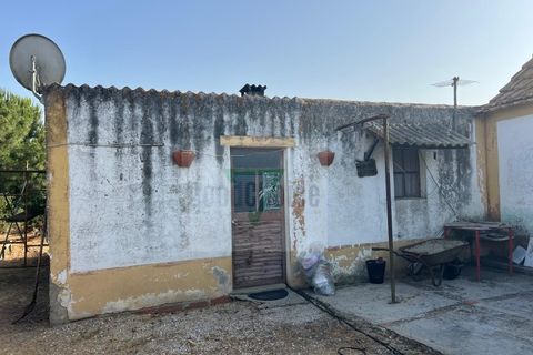 Helårsgrund i Palmela, Setubal, Palmela - € 250.000 | Ref: GC71202506GR - foto 11