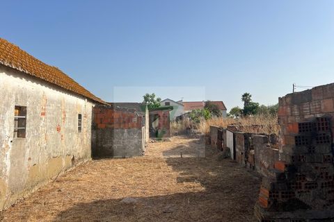 Helårsgrund i Palmela, Setubal, Palmela - € 250.000 | Ref: GC71202506GR - foto 13