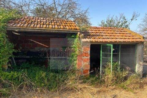 Helårsgrund i Palmela, Setubal, Palmela - € 250.000 | Ref: GC71202506GR - foto 14