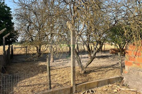 Helårsgrund i Palmela, Setubal, Palmela - € 250.000 | Ref: GC71202506GR - foto 15
