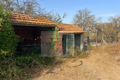 Helårsgrund i Palmela, Setubal, Palmela - € 250.000 | Ref: GC71202506GR - foto 19