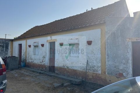 Helårsgrund i Palmela, Setubal, Palmela - € 250.000 | Ref: GC71202506GR - foto 22