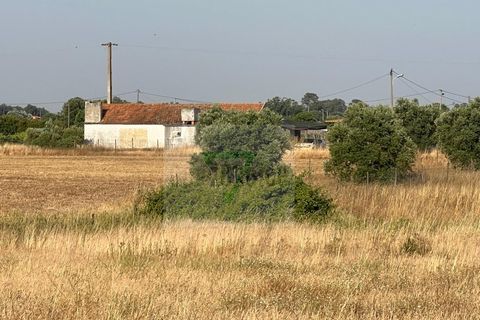Helårsgrund i Palmela, Setubal, Palmela - € 250.000 | Ref: GC71202506GR - foto 29