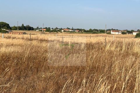 Helårsgrund i Palmela, Setubal, Palmela - € 250.000 | Ref: GC71202506GR - foto 32