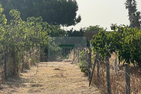 Helårsgrund i Palmela, Setubal, Palmela - € 250.000 | Ref: GC71202506GR - foto 35