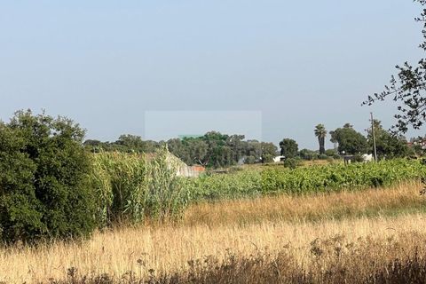 Helårsgrund i Palmela, Setubal, Palmela - € 250.000 | Ref: GC71202506GR - foto 37