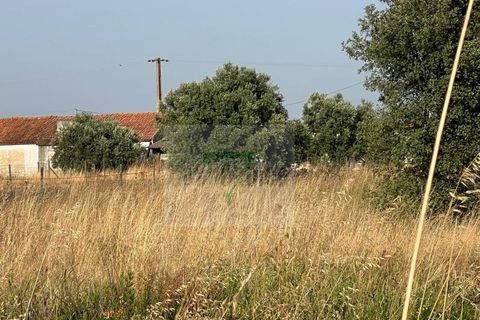 Helårsgrund i Palmela, Setubal, Palmela - € 250.000 | Ref: GC71202506GR - foto 43