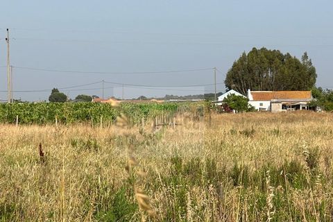 Helårsgrund i Palmela, Setubal, Palmela - € 250.000 | Ref: GC71202506GR - foto 48