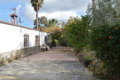 Cortijo i Lubrin, Almeria, Lubrin - € 325.000 | Ref: OLV1883 - foto 6