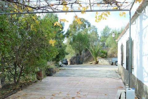 Cortijo i Lubrin, Almeria, Lubrin - € 325.000 | Ref: OLV1883 - foto 7