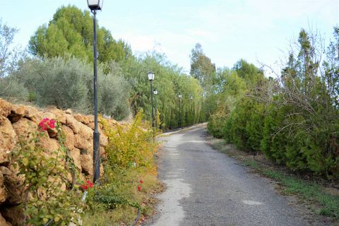 Cortijo i Lubrin, Almeria, Lubrin - € 325.000 | Ref: OLV1883 - foto 12