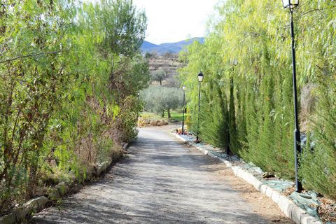 Cortijo i Lubrin, Almeria, Lubrin - € 325.000 | Ref: OLV1883 - foto 13