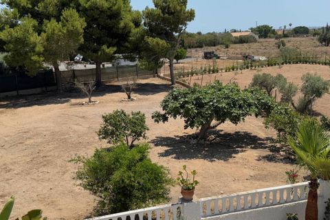 Finca i Torrellano, Alicante, Torrellano - € 498 750 | Ref: MI4-SLP2692 - foto 35