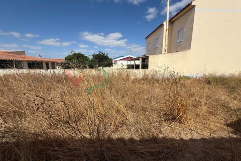 Helårsgrund i Coruche, Santarem, Coruche - € 36.500 | Ref: TER_119 - foto 4