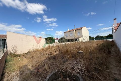 Helårsgrund i Coruche, Santarem, Coruche - € 36.500 | Ref: TER_119 - foto 5