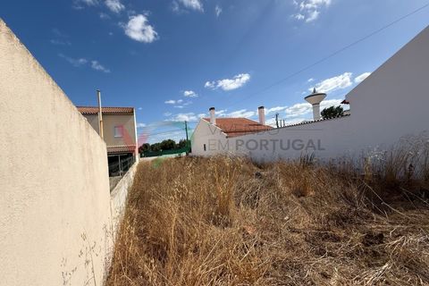 Helårsgrund i Coruche, Santarem, Coruche - € 36.500 | Ref: TER_119 - foto 6