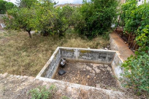 Finca i Tortosa, Tarragona, Tortosa - € 40.000 | Ref: 246 - foto 7