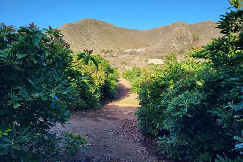 Villa i Tegueste, Tenerife, Tegueste - € 4.000.000 | Ref: KPTC1757 - foto 23