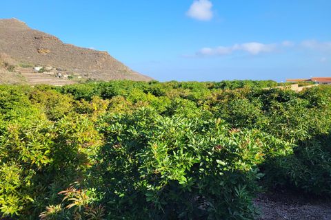 Villa i Tegueste, Tenerife, Tegueste - € 4.000.000 | Ref: KPTC1757 - foto 24