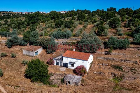 Villa a Pinhel, Guarda, Pinhel - € 200.000 | Ref: CAS_2282 - foto 2