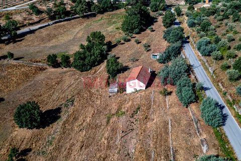 Villa a Pinhel, Guarda, Pinhel - € 200.000 | Ref: CAS_2282 - foto 3