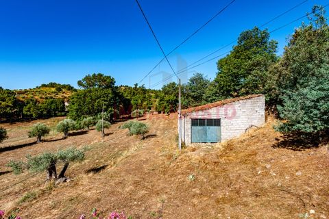 Villa a Pinhel, Guarda, Pinhel - € 200.000 | Ref: CAS_2282 - foto 19
