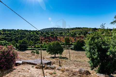 Villa a Pinhel, Guarda, Pinhel - € 200.000 | Ref: CAS_2282 - foto 21