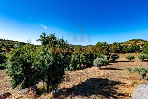 Villa a Pinhel, Guarda, Pinhel - € 200.000 | Ref: CAS_2282 - foto 22